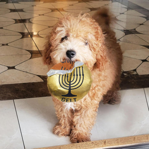Hanukkah Gelt Coin Dog Toy, Chewdaica Oxford Material, Judaica Gifts for Dog Owners, Chanukah Décor
