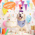 Dog Bandanas Spring, 4PCS Puppy Bandana, Orange Pink Blue Floral Printing Dog Bib Handkerchief Scarf