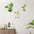 2PCS Wall Hanging Plant Terrarium, Wall Mounted Fish Bowl Tank, Acrylic Globe Flower Vase Planter