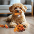 21.16 oz Dog Treats, Triple Flavor Chicken Duck Beef Meat Rolls, Rawhide Free Dog Snacks, Soft Treats for Small Dogs