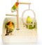 3 in 1 Bird Playground Stand Tabletop with Large Tray, Wooden Bird