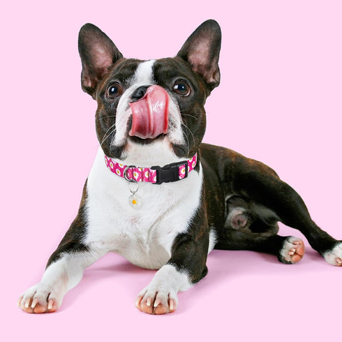 BiPawTi Cute Flower Dog Collar with Daisies Charms, Pretty Floral Collar for Small Dogs, Female Puppy Girls Boys (S,