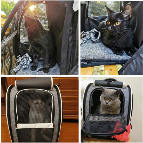 Texsens Pet Carrier Backpack - Ventilated Design with Window Blind for Small Cats & Dogs, Collapsible, Ideal for Travel
