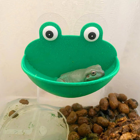 Tree Frog Tank Accessories, 2 PCS Plastic Habitat Platform Decoration for Frog Wall-Mounted Tank