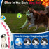 2PCS Premium Dog Treat Balls 3", Glow in The Dark Fetch Toys for Small/Medium/Large Dogs, Vanilla Flavor
