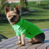 Dog Polo Shirts - Solid Green, Summer Pullover - Button Collar, XXS by Parisian Pet