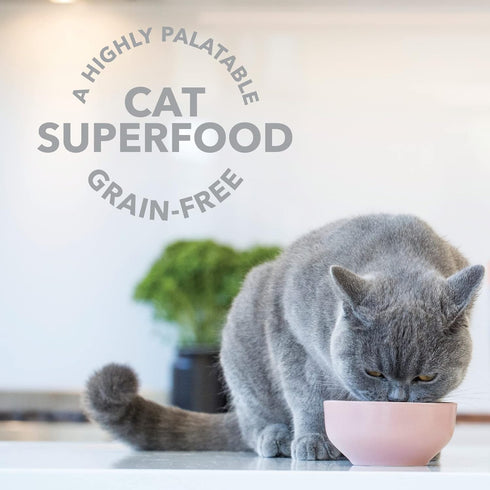 Feline Natural Freeze Dried Lamb Green Tripe Cat Food Supplement - Grain-Free High Protein Topper