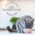 Feline Natural Freeze Dried Lamb Green Tripe Cat Food Supplement - Grain-Free High Protein Topper