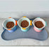 Raised Tilted Ceramic Cat Food Bowl - Cute Fish Shape Elevated Slanted Dish for Kitty Feeding, Ergonomic Anti Vomiting