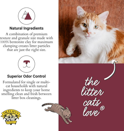 Precious Cat Classic Premium Clumping Cat Litter - 40 lb Bag