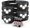 Energizer PRO-260 LED Headlamp (4-Pack), IPX4 Water Resistant Headlamps, High-Performance Head Light