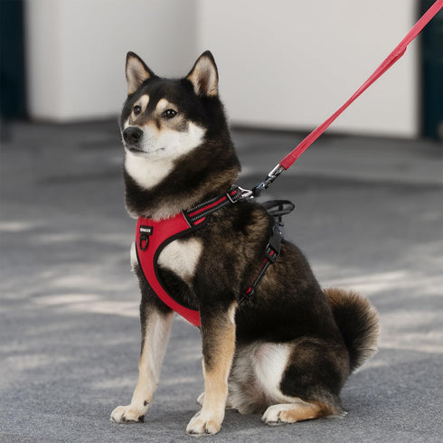 Voyager No Pull Dog Harness for Large Dogs, Adjustable Soft Pet Harness with Dual Leash Attachments, Red Lattice Nylon,