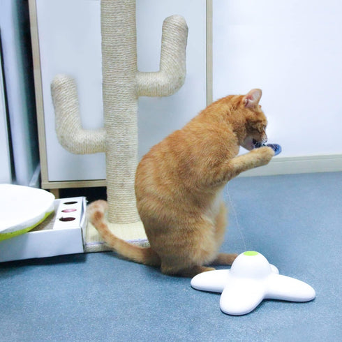 ALL FOR PAWS Interactive Cat Butterfly Flutter Replacements for Spinner Toys, 6 Pack Re-Fill