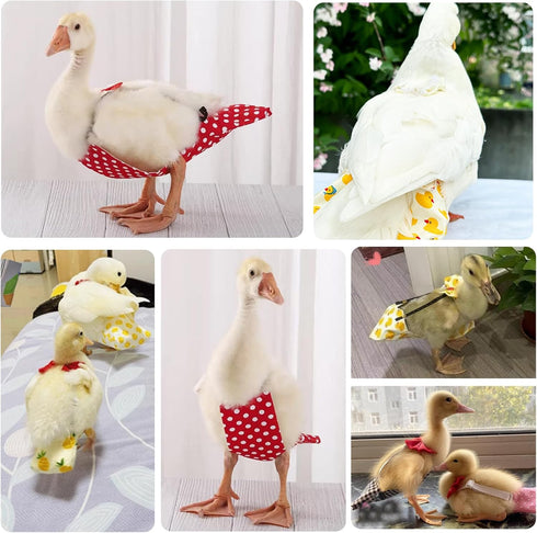 QBLEEV Pet Cole Duck Diapers for Baby Ducks, Chicken Diapers for Real Hens, Fashionable Duckling Nappy Poultry Cloth