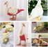 QBLEEV Pet Cole Duck Diapers for Baby Ducks, Chicken Diapers for Real Hens, Fashionable Duckling Nappy Poultry Cloth
