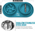 Pets Dog Bowl Set - Removable Double Slow Feeder Bowls with Non-Skid Silicone Mat, Stainless Steel Water Bowl (Dirty