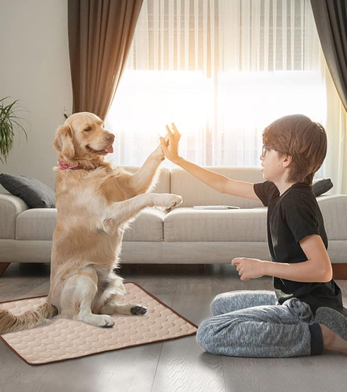 Dogs Cooling Mat, Pet Self Cooling Pad for Summer, Washable Ice Silk Sleep Mat for Large Dogs and Cats (Coffee, Large)