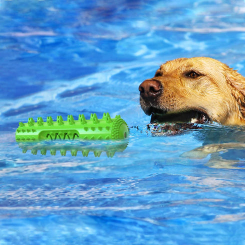 FXGJDeng Dog Chew Toys for Aggressive Chewers, Dog Toothbrush Care Cleaning Stick, Puppy Toothing Chew Toy for Small