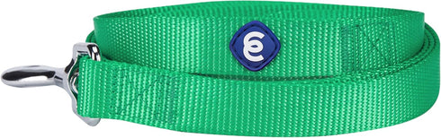 Blueberry Pet Essentials Emerald Dog Leash - 5' * 3/8" Heavy Duty Nylon Lead for X-Small Dogs, Lightweight Puppy & Cat