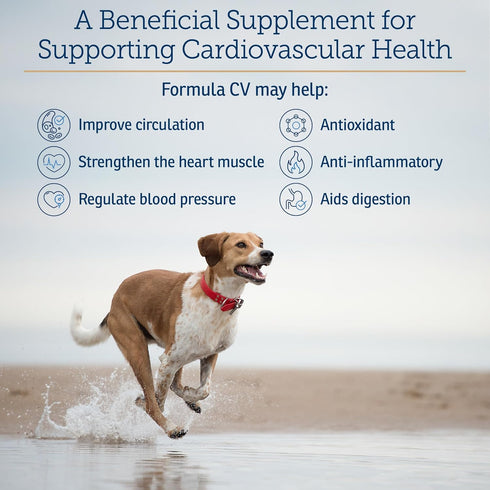 Rx Vitamins Formula CV, Hawthorn Berry Capsules with Taurine for Dogs & Cats - Heart Health Supplements - 90ct
