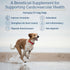 Rx Vitamins Formula CV, Hawthorn Berry Capsules with Taurine for Dogs & Cats - Heart Health Supplements - 90ct
