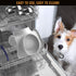 Active Pets Dog Bowl Set, Stainless Steel No Spill Food & Water Bowls with Skid Resistant Silicone Mat, Small, Medium,
