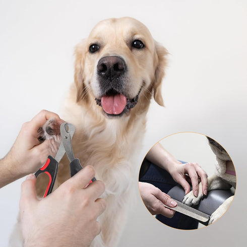 Pet Grooming Glove, Gentle Deshedding Brush Glove, Enhanced Five Finger Design for Dog & Cat with Long & Short Fur