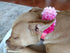 PET SHOW Valentines Small Dogs Flower Charms for Medium Large Dogs, Cat, Puppies, Rabbit Collars