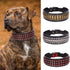 PET ARTIST Soft Leather Dog Collar for Large Dogs - Luxury Genuine Leather with Rivet Studded, 2 inch Wide (Fit 18-23")