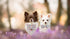 Unique Style Paws Dog Bandanas, Washable Cotton Square Bibs, Adjustable Kerchief for Small Medium Large Dogs and Cats