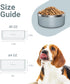Stainless Steel Dog Bowls for Small Dogs, 40 Ounces/5 Cup Dog Food and Water Bowl, Double Wall Weighted Dog Dish, Rustproof Metal Pet Bowls with Non Slip Silicone Base