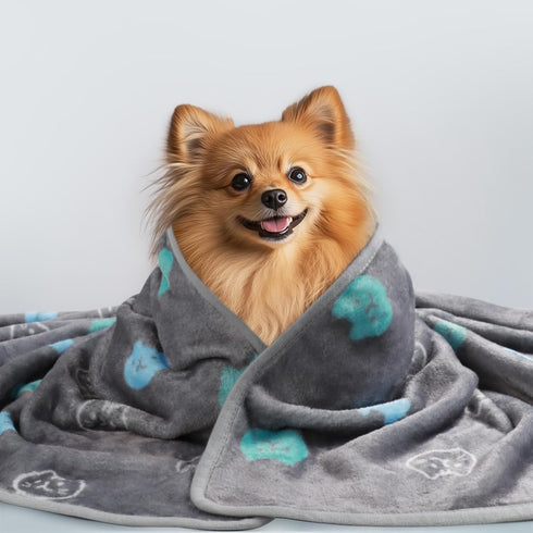 1 Pack 3 Medium(30x20 inch) Blankets Super Soft Fluffy Premium Cute Cat Pattern Pet Blanket Flannel Throw for Dog Puppy