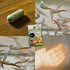4 Freshwater Fairy Shirmp Eggs - for Hatching,High Protein Live Fish Food for Newborn Fry, Betta Fish, and Other