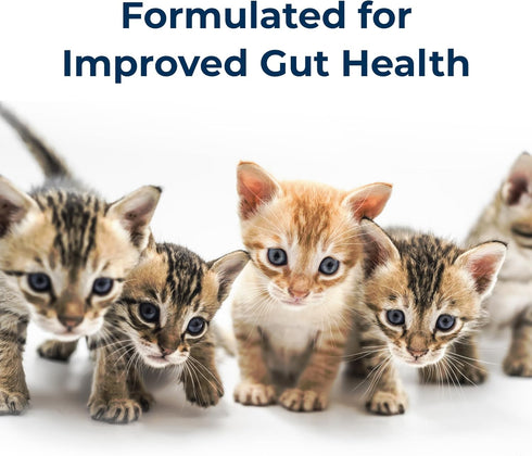 Pet-Ag Goat’s Milk KMR Kitten Milk Replacer Liquid - 11 oz, Easy to Digest Formula for Kittens