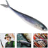 Lifelike Vivid Tuna Soft Lure for Fishing Adventures
