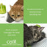 2.0 Catit Senses Wellness Center Cat Toy - Interactive Multi-Purpose Relaxation Spot with Catnip Included