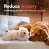 ALL FOR PAWS Heartbeat Puppy Toy for Dogs, Anxiety Relief and Sleep Aid, Plush Heart Beat Snuggling Bear for Small