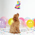 Barkbox Plush Squeaky Dog Toys - Chew Toys for Large Dogs (Full O' Fluff Piñata)