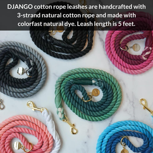 DJANGO Cotton Rope Dog Leash, 5 FT Ombre for Small Medium Large Dogs, Custom Colors, Gold and Silver Hardware
