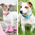 6 Pcs Dog Collar Flowers Accessory, Removable Bow Attachment Floral Embellishment for Small Medium Large Dogs and Cats