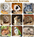 Niwaes Chinchilla Set 7 Pack Wooden Cage Platforms Wood Shelves for Rat Cage Corner Ledges Small Animal Climbing Steps