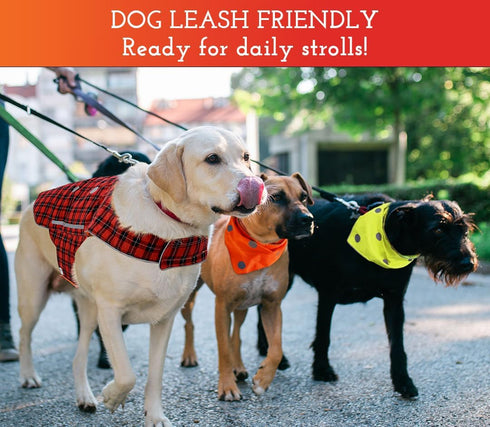 SPOT THE DOG! Reflective Dog Collar - Adjustable Durable Comfortable Collars for Large Dogs, Hunting Dogs (Blaze Orange)