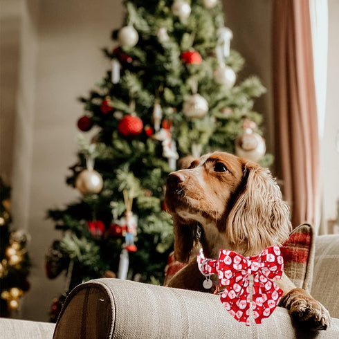 DOGWONG Christmas Dog Collar with Sailor Bow, Soft Durable Adjustable Cotton for Small Medium Large Dogs