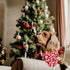 DOGWONG Christmas Dog Collar with Sailor Bow, Soft Durable Adjustable Cotton for Small Medium Large Dogs
