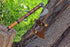 Viking Axe of Ragnar Lothbrok High Carbon Steel Hunting Axe with Leather Sheath