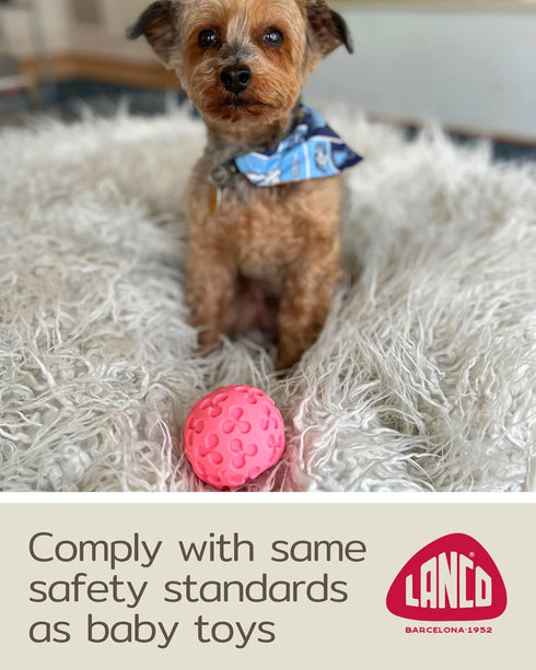 Small Ball Dog Toy - 100% Natural Rubber (Latex) - Soft Squeaky Toy for Small Dogs - Set of 2 Pink
