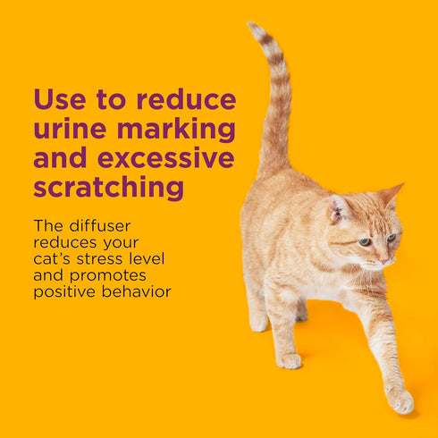 Comfort Zone MultiCat Diffuser Refills, 2 Pack; Cat Calming Pheromones, 30-day refills