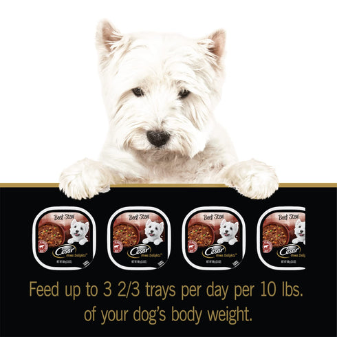 Cesar Home Delight Wet Dog Food, Beef Stew, 3.5 Oz Tray, Pack of 1