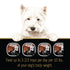 Cesar Home Delight Wet Dog Food, Beef Stew, 3.5 Oz Tray, Pack of 1