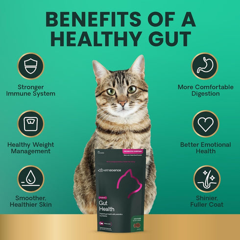 Immune 120 60 Count VetriScience Gut Health Chews, Probiotic Everyday Digestive Supplement for Cats, Pet Probiotics